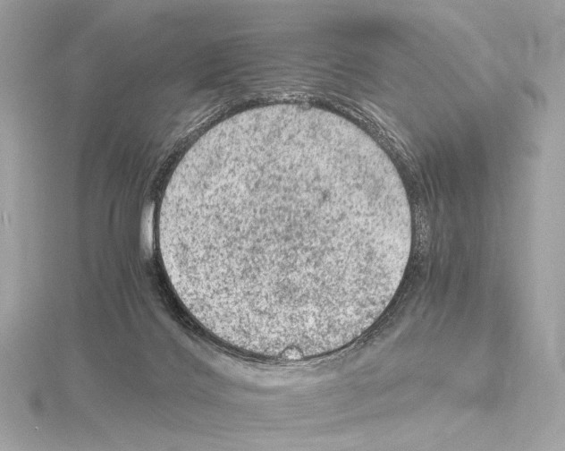 X0000115060028200912071200