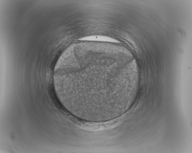 X0000115060029200912071200