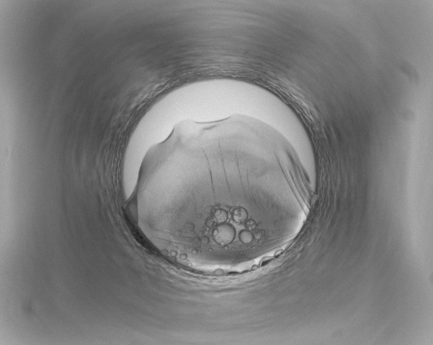 X0000115060031200912071200