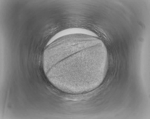 X0000115060033200912071200