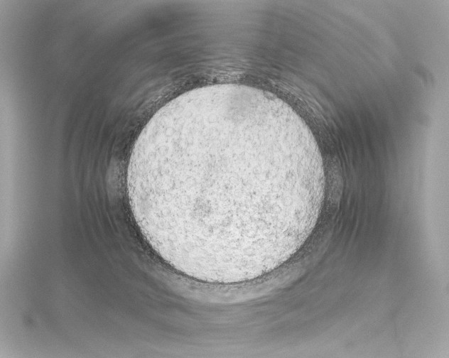 X0000115060034200912071200