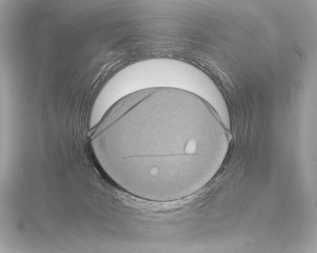 X0000115060035200912071200