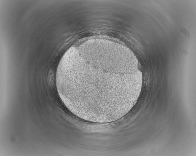 X0000115060036200912071200