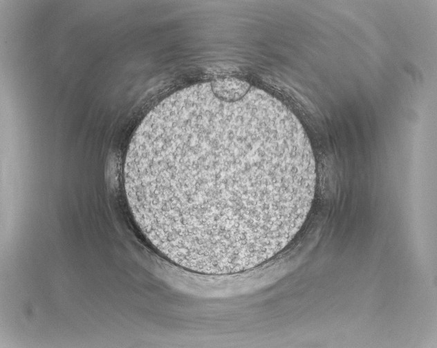 X0000115060038200912071200