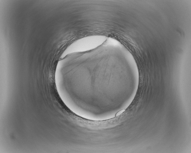 X0000115060039200912071200