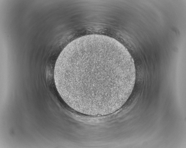 X0000115060040200912071200