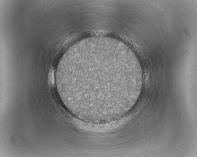 X0000115060042200912071200