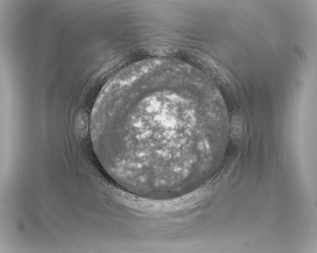 X0000115060043200912071200