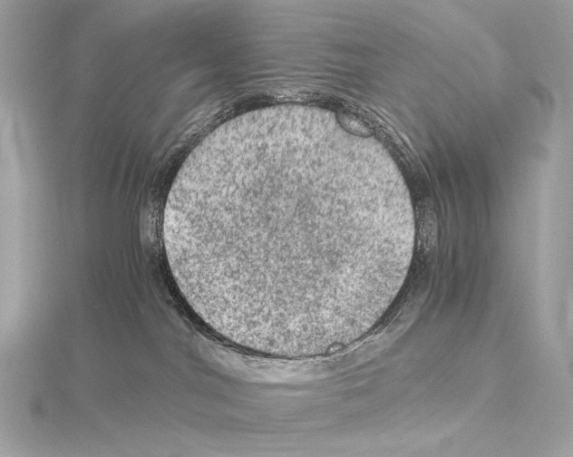 X0000115060044200912071200