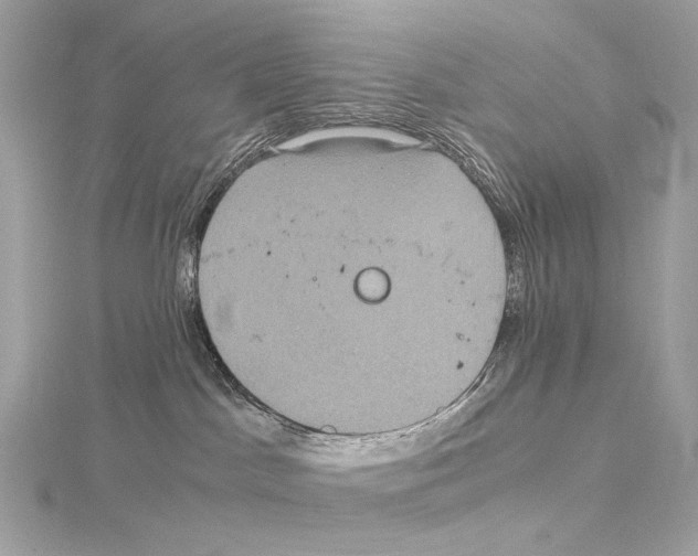 X0000115060045200912071200