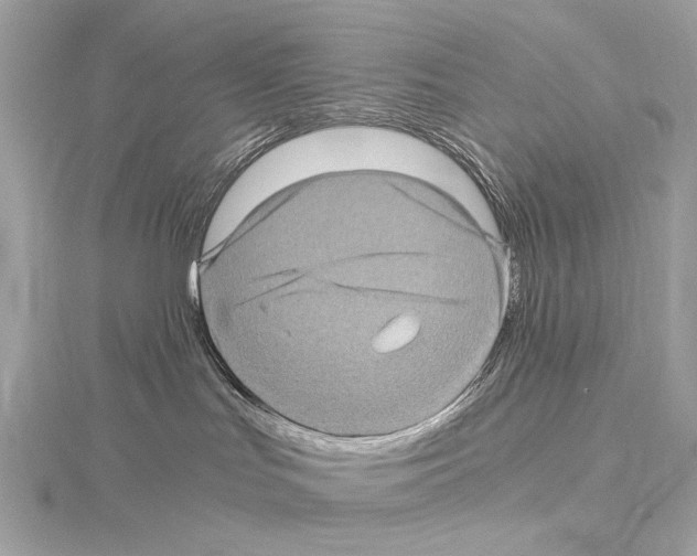 X0000115060047200912071200