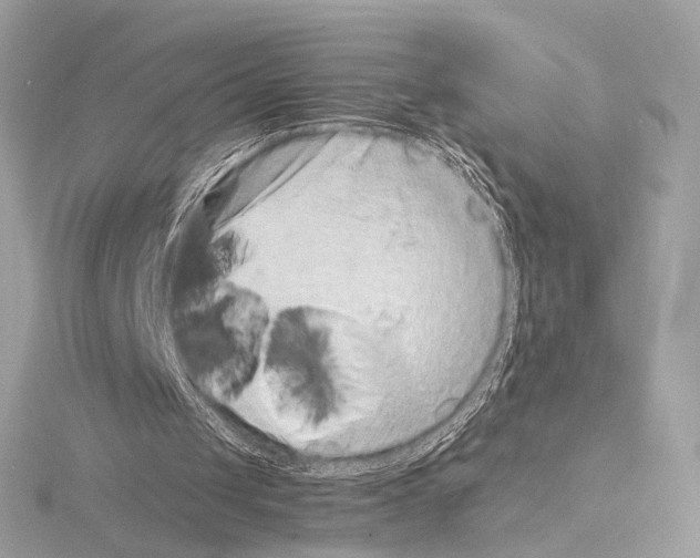 X0000115060049200912071159