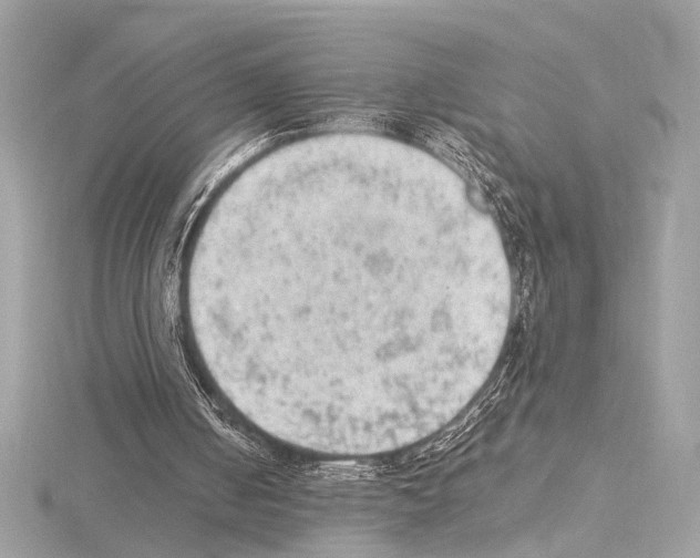 X0000115060050200912071159