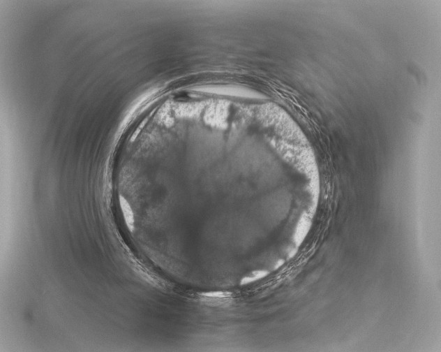 X0000115060053200912071159