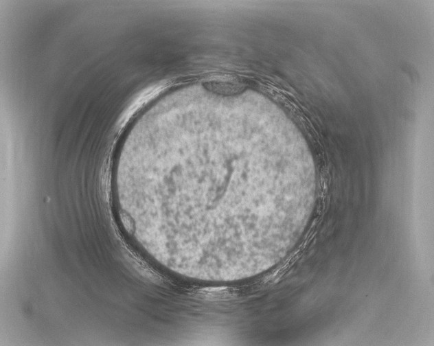 X0000115060054200912071159