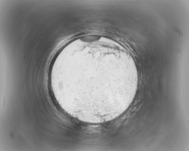 X0000115060055200912071159