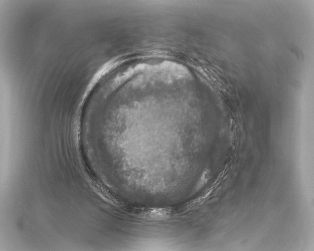 X0000115060056200912071159