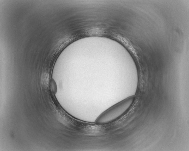 X0000115060057200912071200