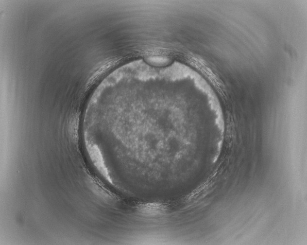 X0000115060058200912071200