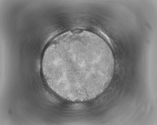 X0000115060059200912071200