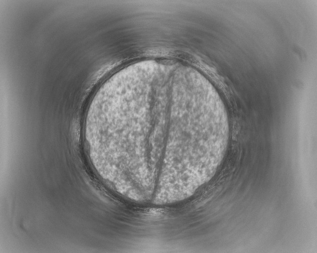 X0000115060060200912071200