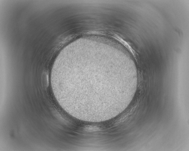 X0000115060061200912071200