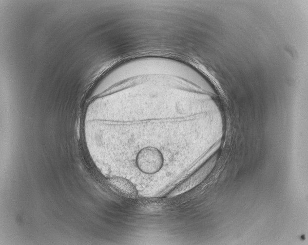 X0000115060062200912071200