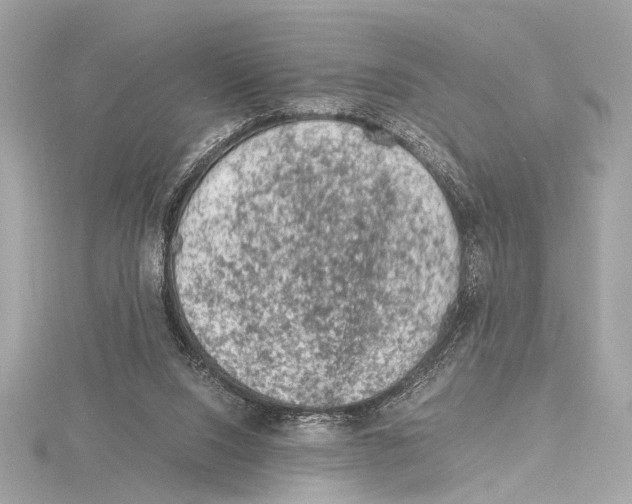 X0000115060064200912071200