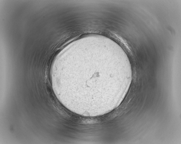 X0000115060065200912071200