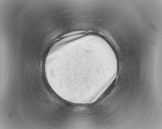 X0000115060066200912071200