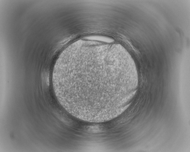 X0000115060068200912071200