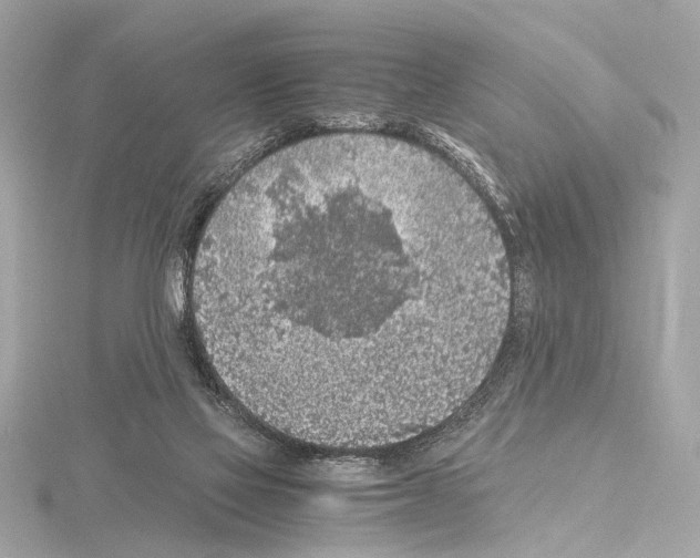 X0000115060069200912071200