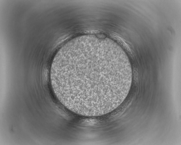 X0000115060071200912071200