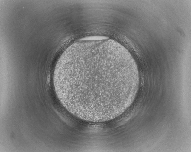 X0000115060072200912071200