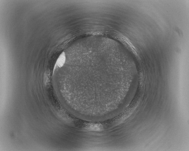 X0000115060073200912071200