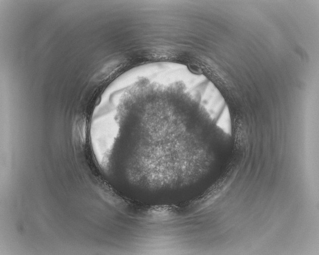 X0000115060076200912071200