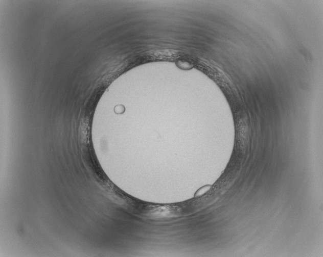 X0000115060083200912071200