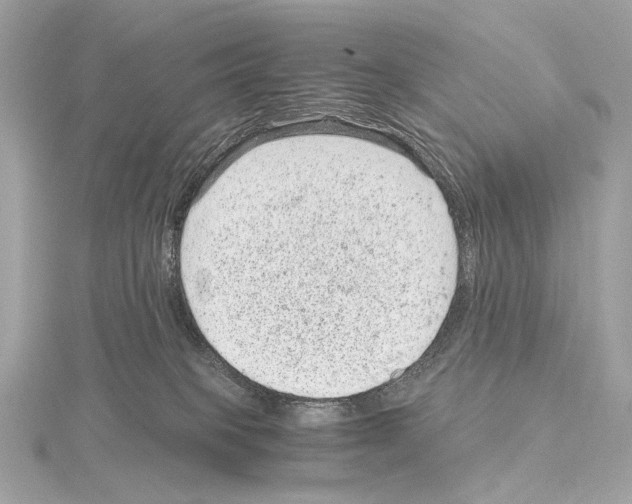 X0000115060085200912071200