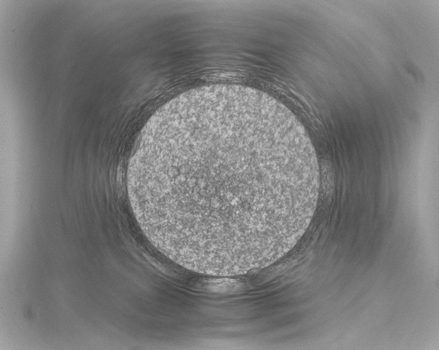 X0000115060087200912071200