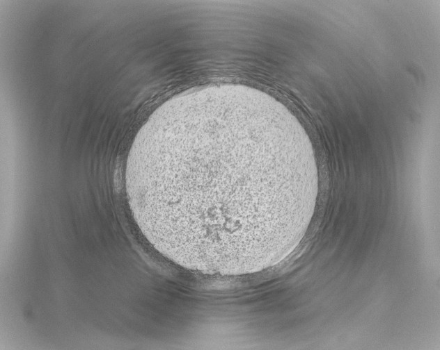 X0000115060090200912071200