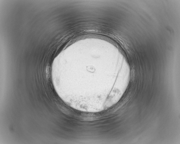 X0000115060093200912071200