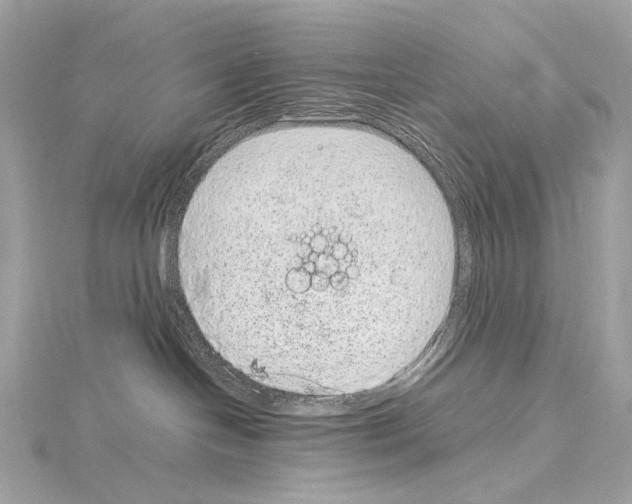 X0000115060094200912071200