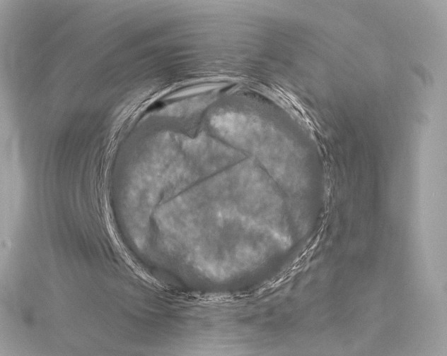 X0000115060097200912071159