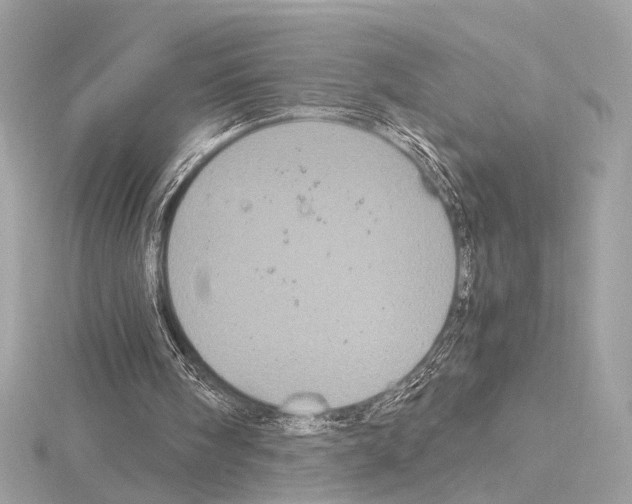 X0000115060098200912071159