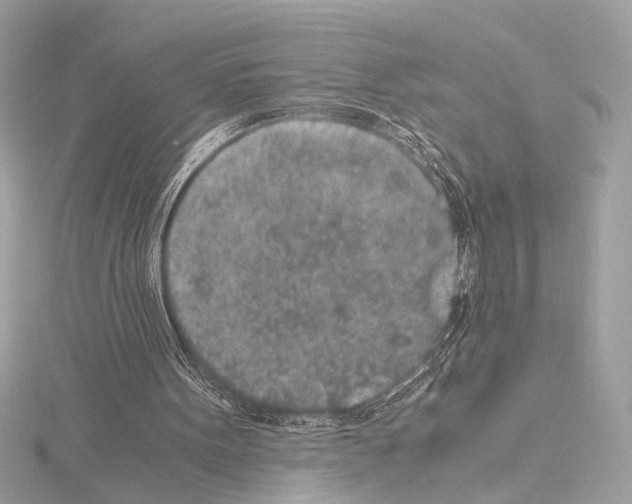 X0000115060099200912071159