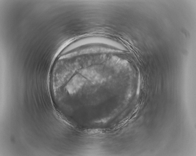 X0000115060100200912071159