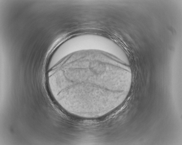 X0000115060101200912071159