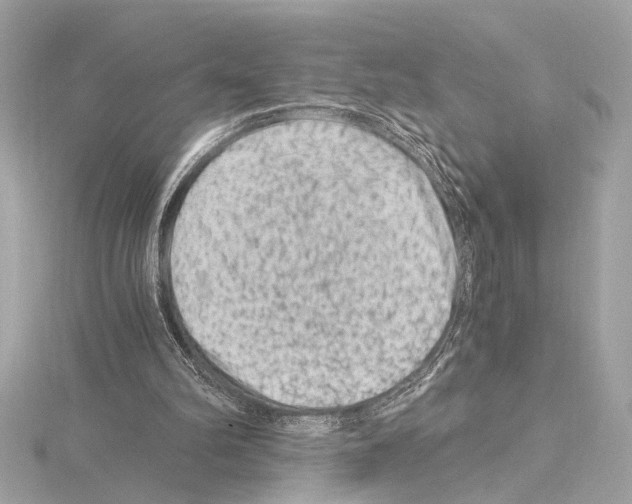 X0000115060102200912071159