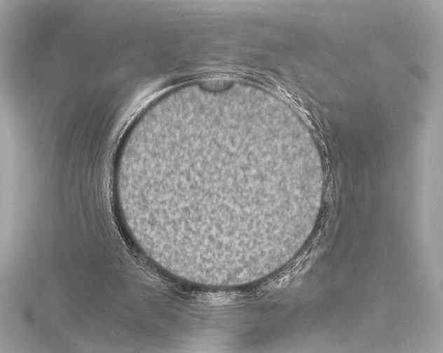 X0000115060103200912071159