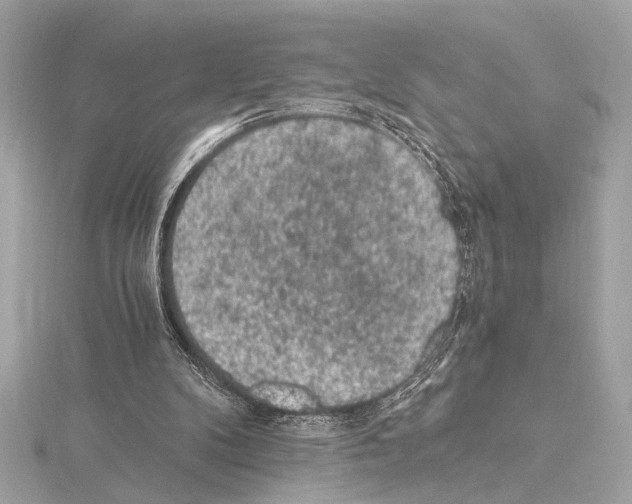 X0000115060104200912071159